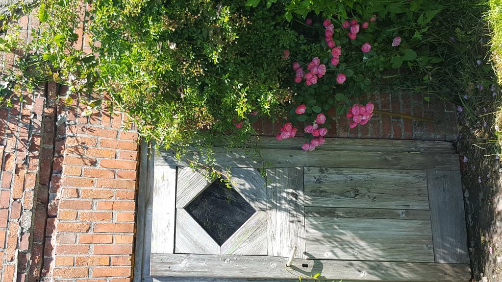 Ferienwohnungen Zollhaus Utlandshoern Norden Exterior foto
